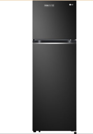 Tủ lạnh LG Inverter 266 lít GV-B262BL