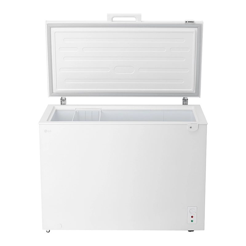 Tủ đông LG Inverter 291 Lít C30WH - Ảnh 2