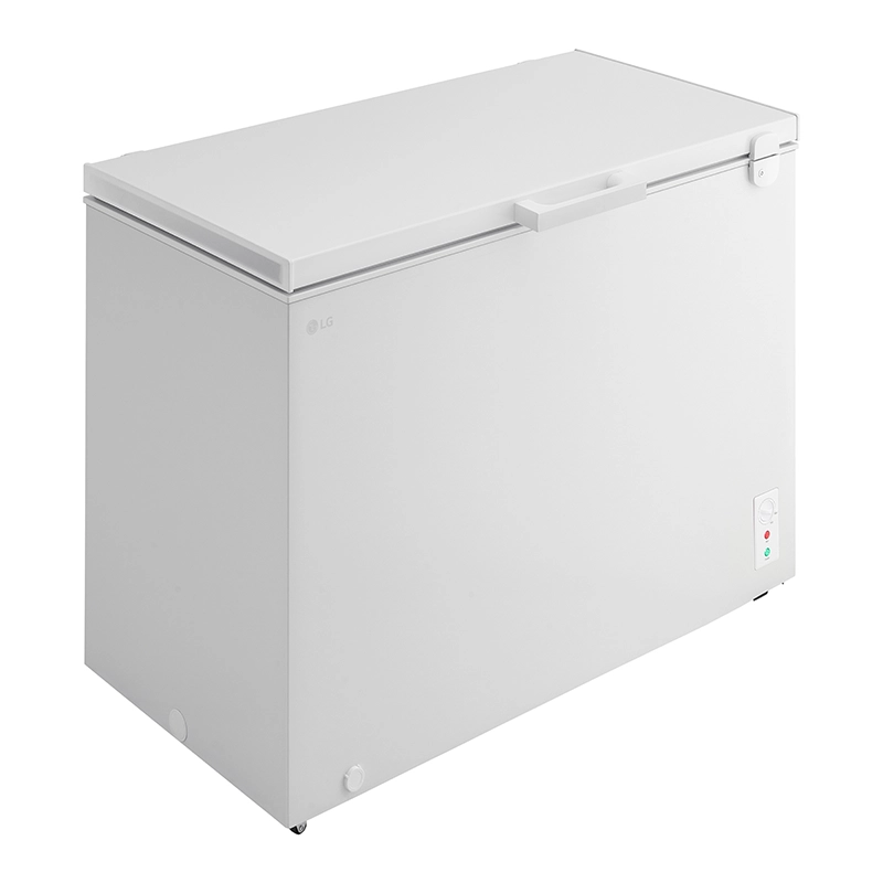 Tủ đông LG Inverter 291 Lít C30WH - Ảnh 3