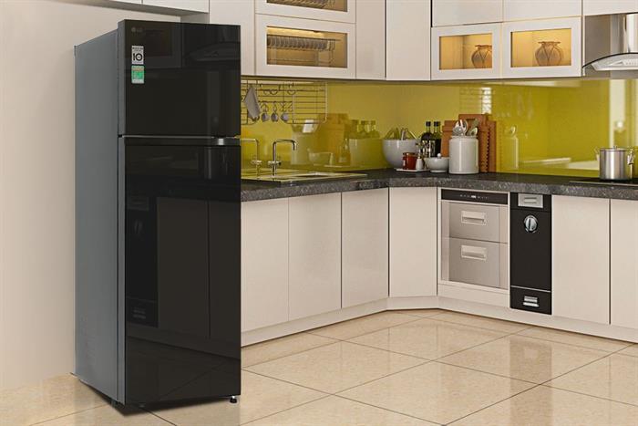 Tủ lạnh LG Inverter 266 lít T26BG - Ảnh 11