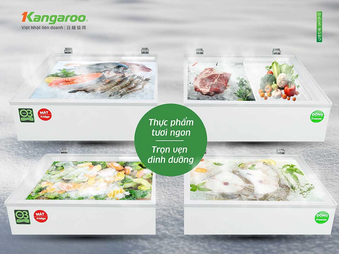 Tủ đông kháng khuẩn Kangaroo 327 lít KG327C2N - Ảnh 6